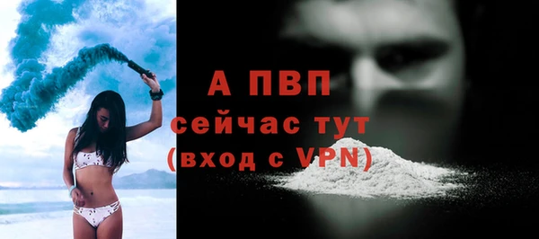 гидропоника Бородино