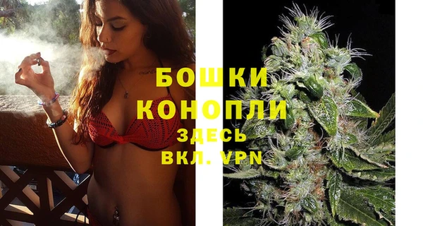 гидропоника Бородино