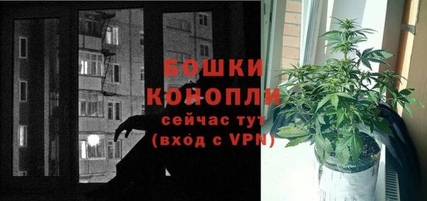 стаф Бронницы