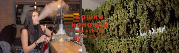 гидропоника Бородино