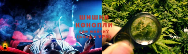 стаф Бронницы
