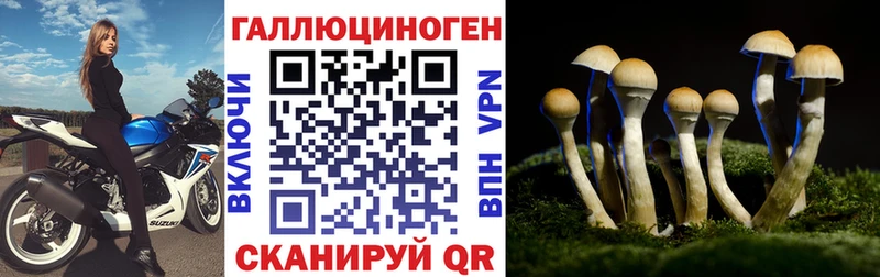 Купить  Старая Русса  Псилоцибиновые грибы Psilocybine cubensis 